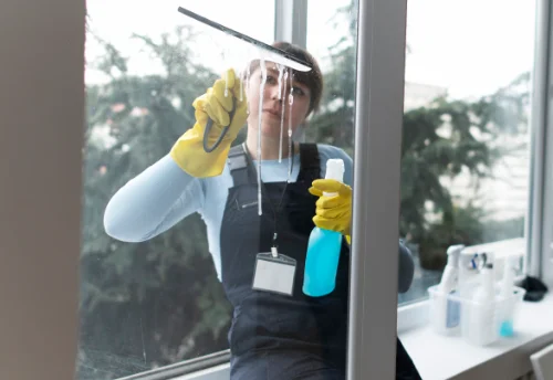 Nettoyage de vitres intérieures et extérieures à Lunery